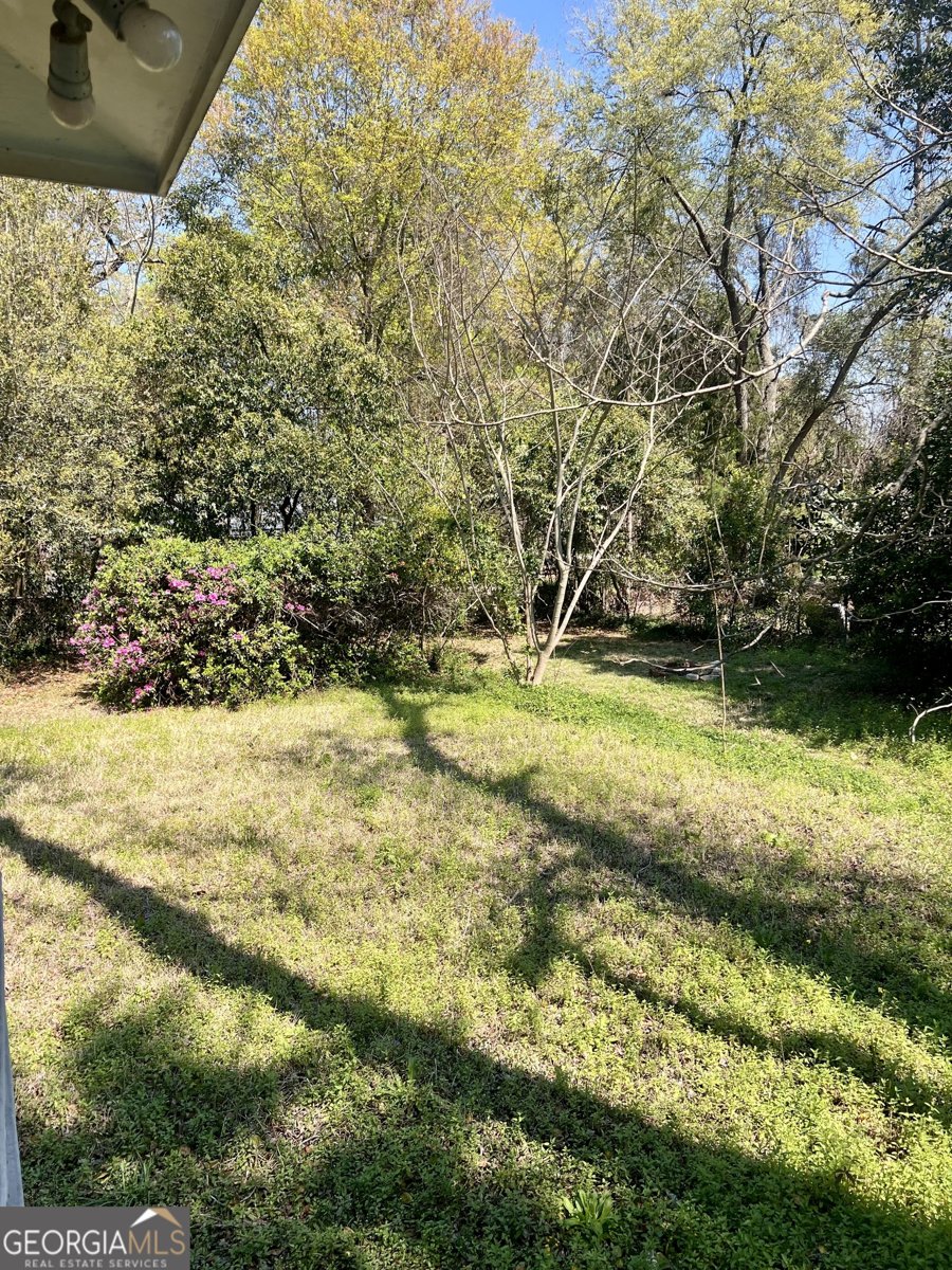 215 Bethel Street Eastman - Photo 8