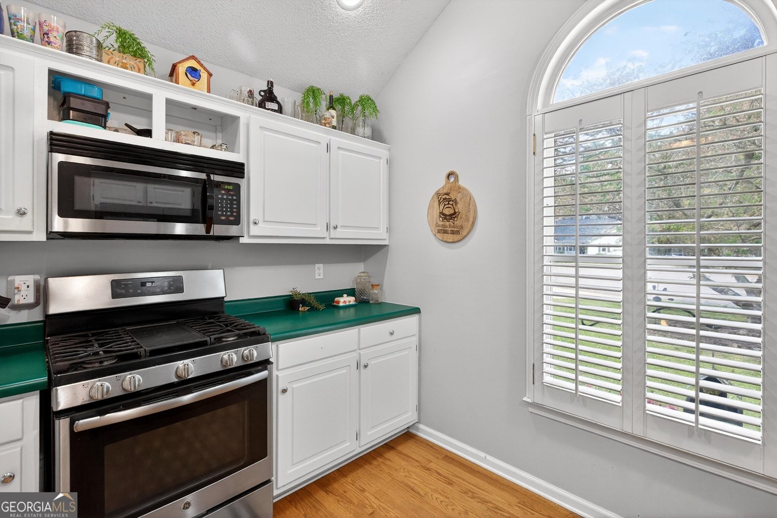 182 Suwanee Court Senoia - Photo 14