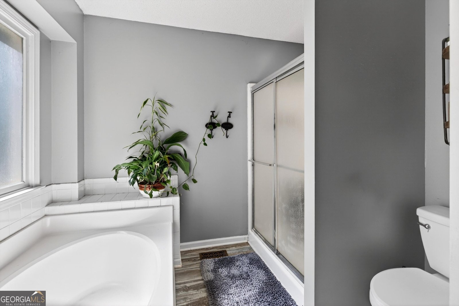 182 Suwanee Court Senoia - Photo 18