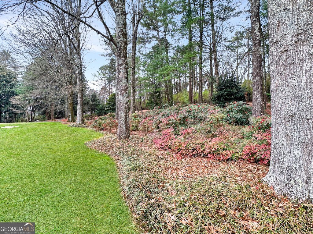 130 Apple Blossom Lane Summerville - Photo 48