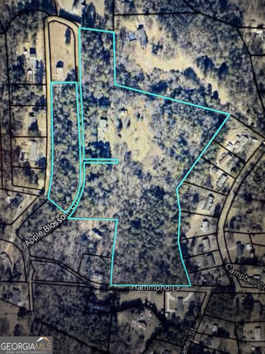 130 Apple Blossom Lane Summerville - Photo 53