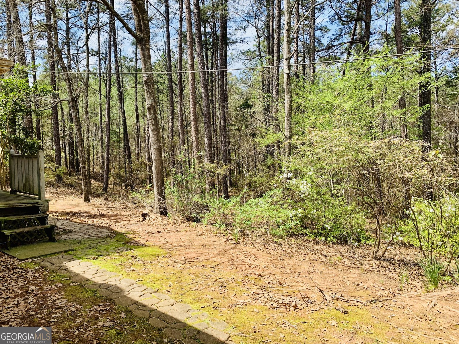 1688 Bartley Road Lagrange - Photo 31