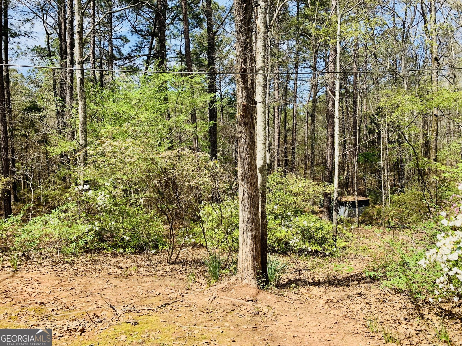 1688 Bartley Road Lagrange - Photo 32