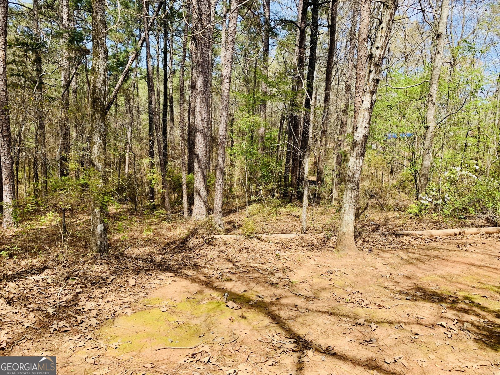 1688 Bartley Road Lagrange - Photo 34