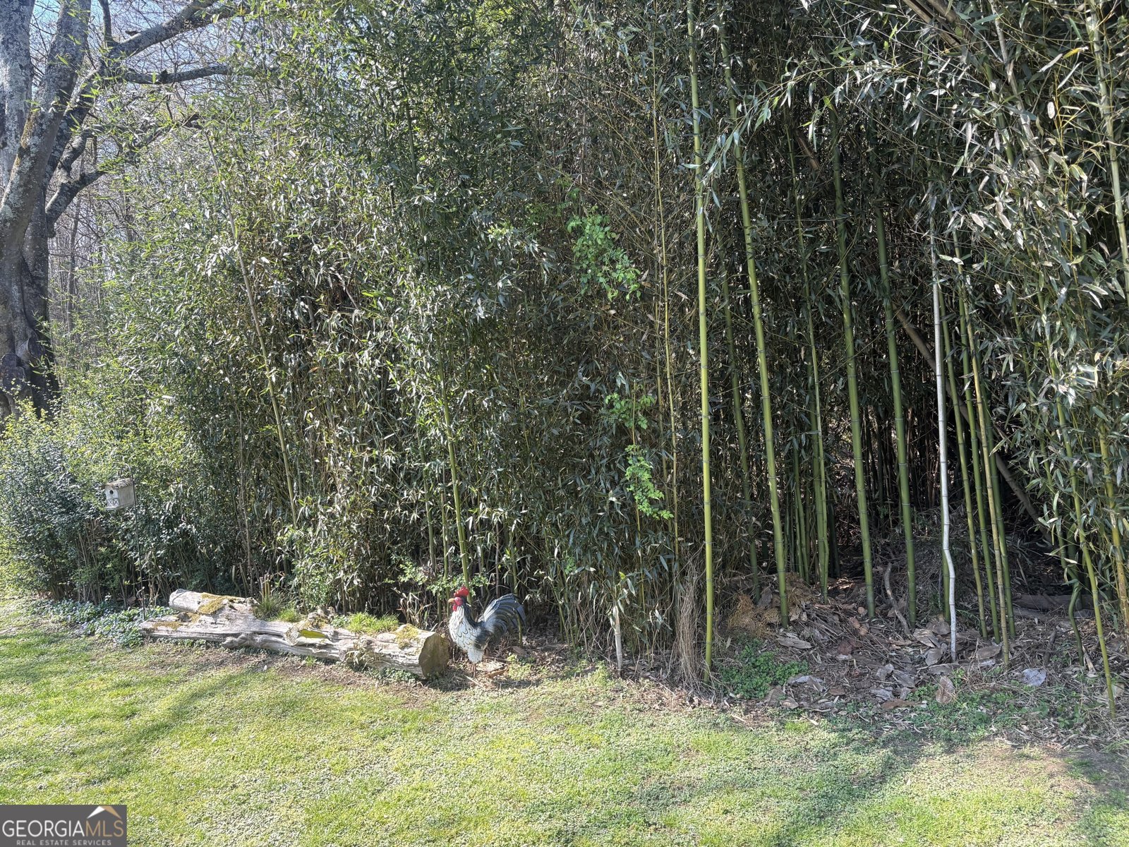 3830 Highway 41 North Resaca - Photo 94