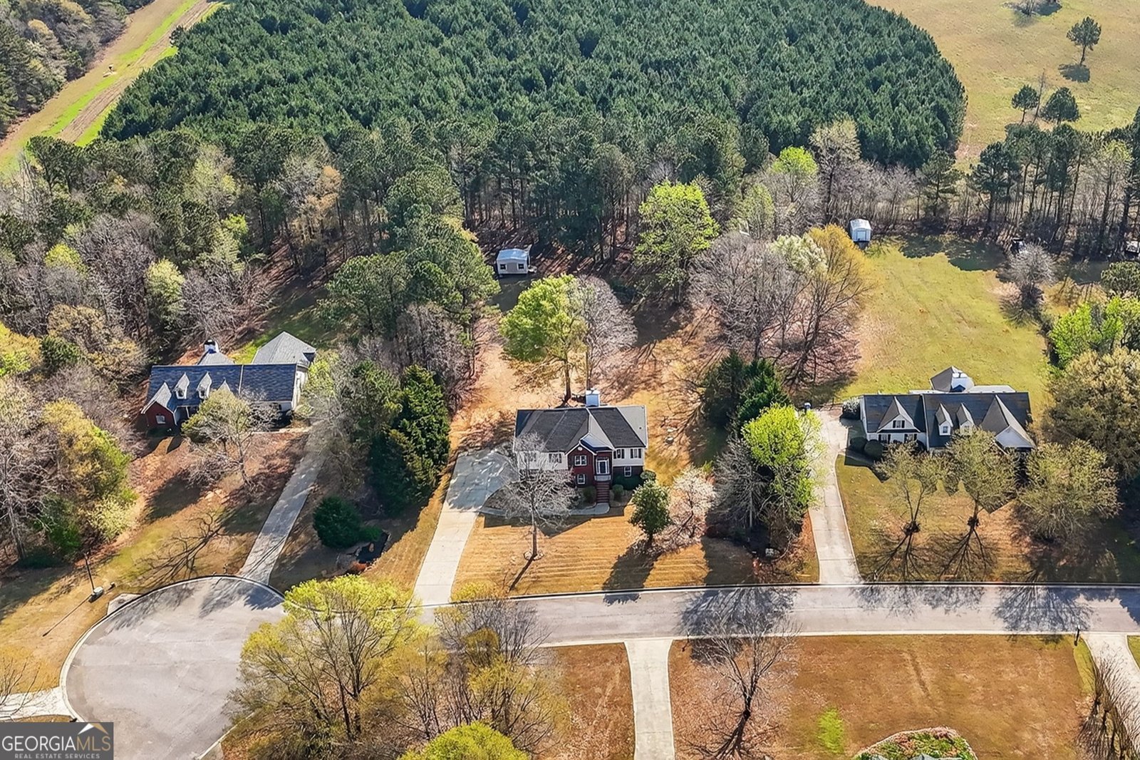 322 Black Willow Court Locust Grove - Photo 42