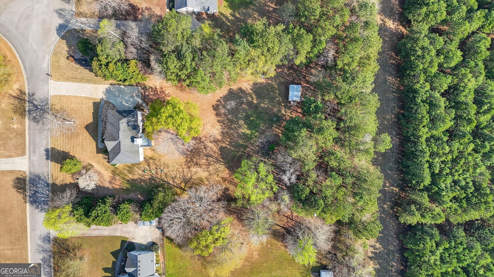 322 Black Willow Court Locust Grove - Photo 43