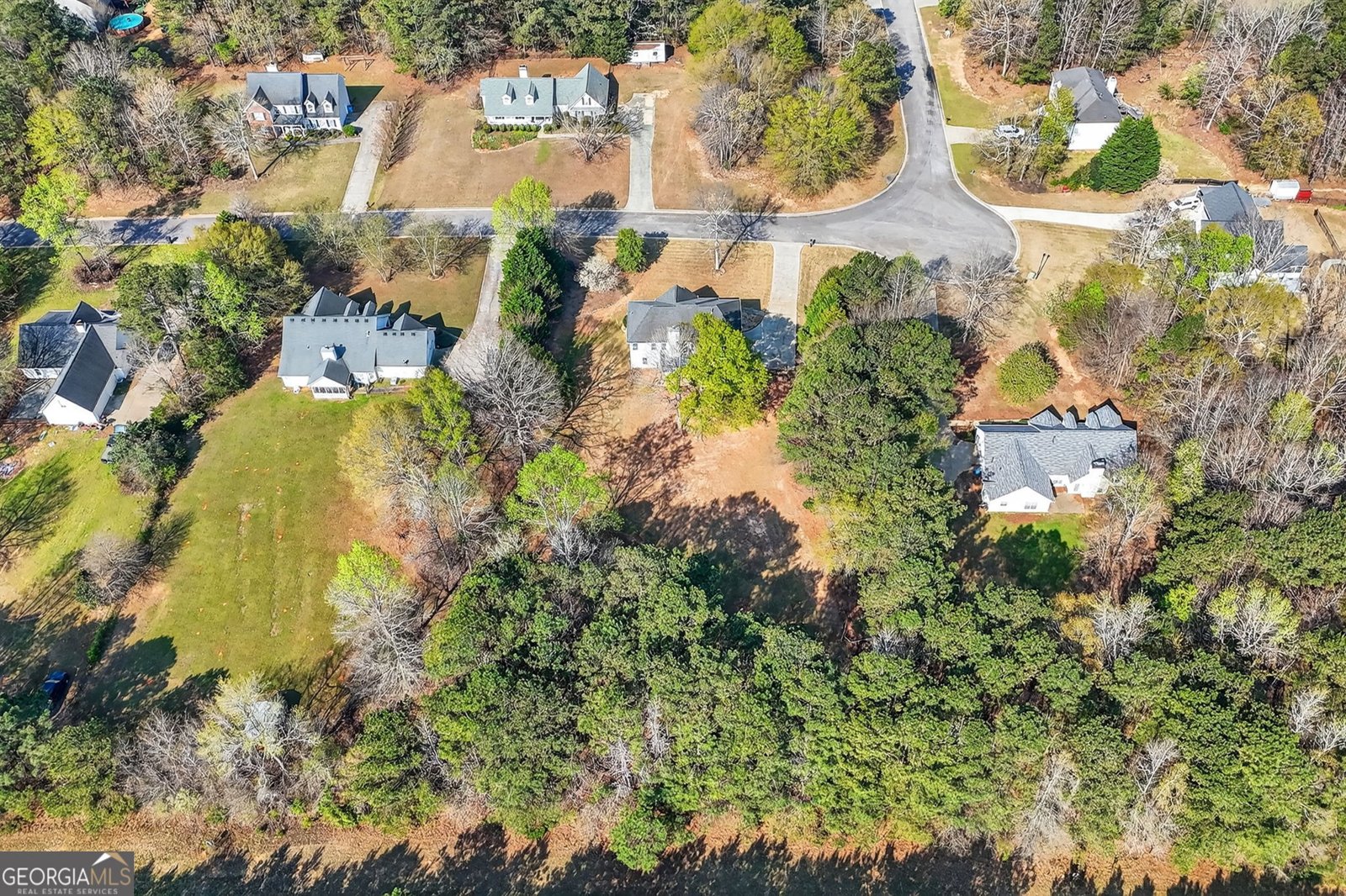 322 Black Willow Court Locust Grove - Photo 44