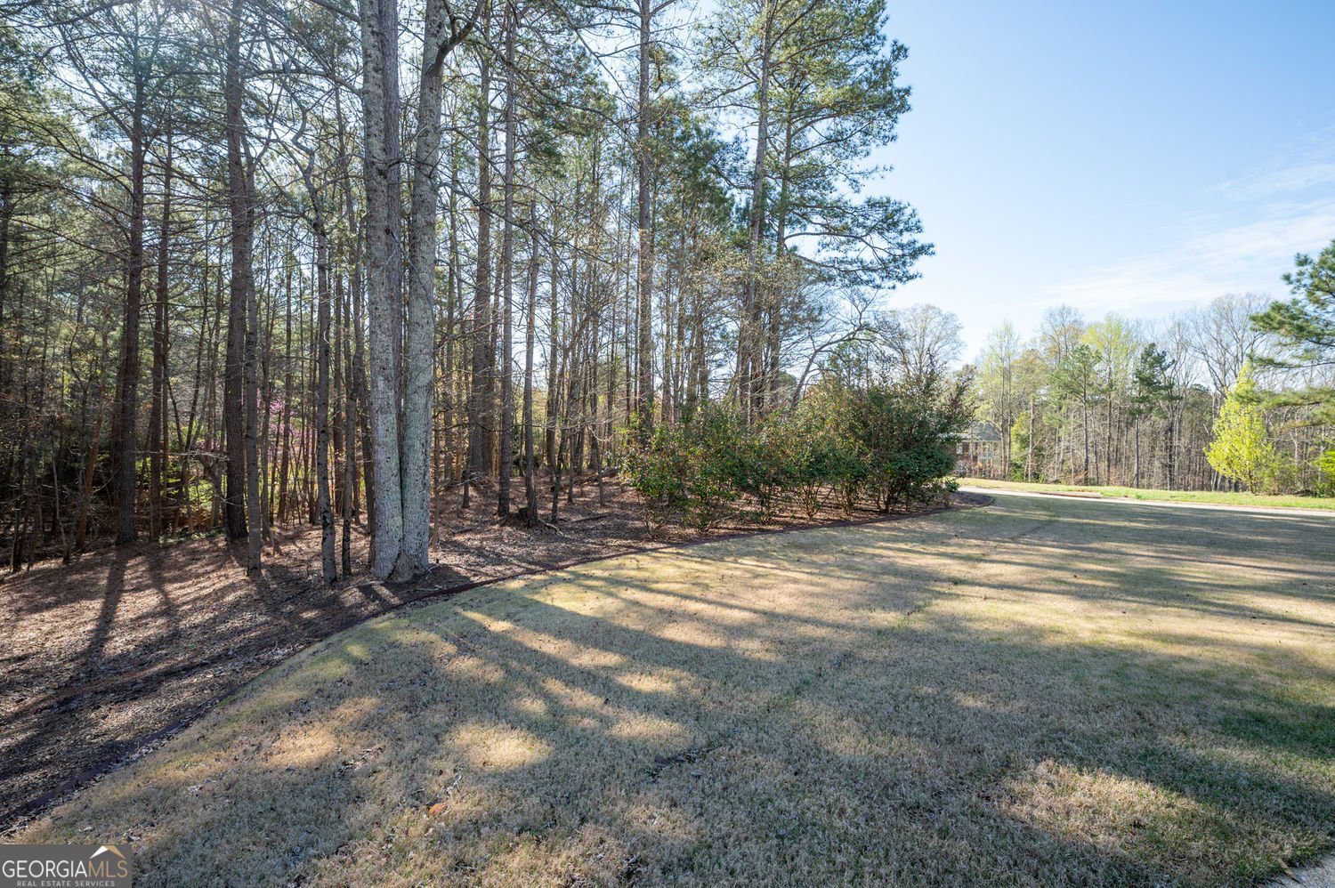 170 Tuscany Trail Dallas - Photo 73