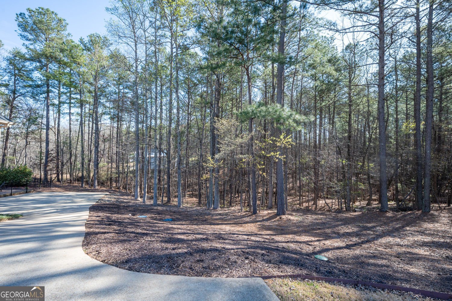 170 Tuscany Trail Dallas - Photo 74