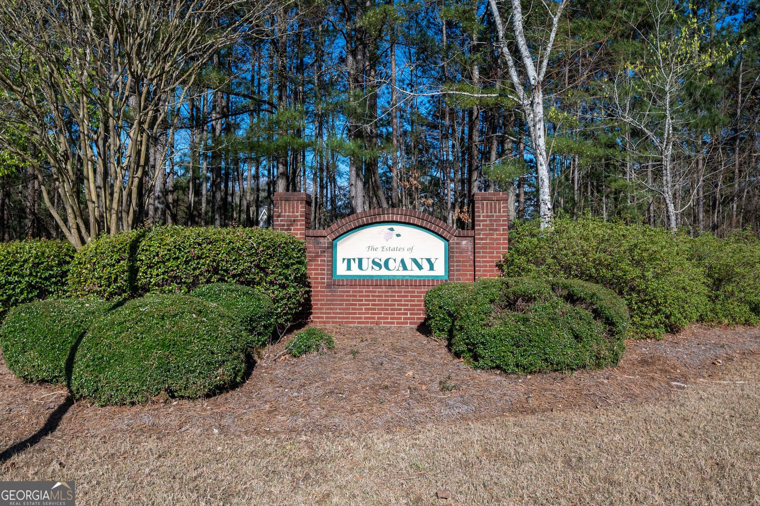 170 Tuscany Trail Dallas - Photo 75