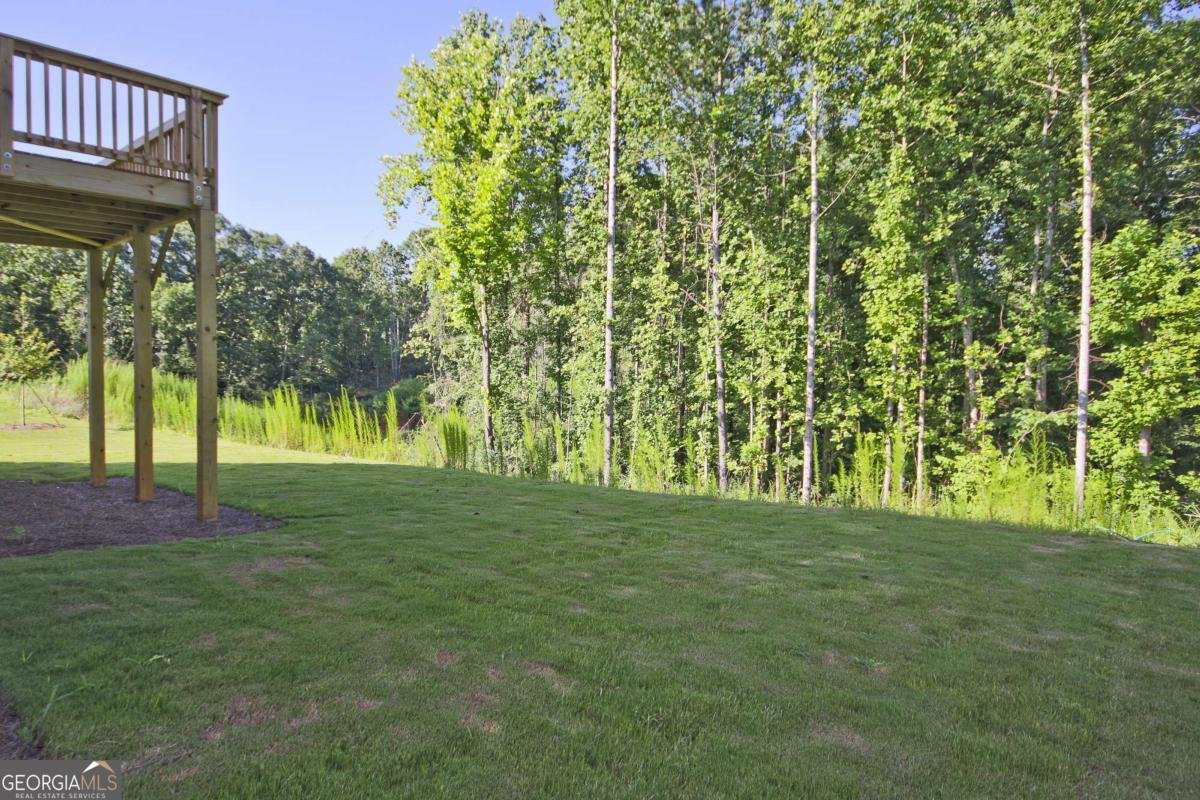 7428 Rocklin Lane Flowery Branch - Photo 42