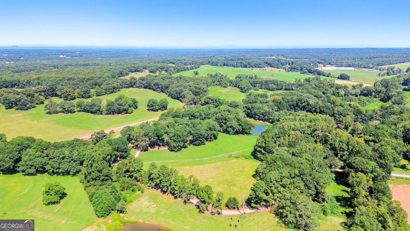 1320 Burroughs Road Lavonia - Photo 49