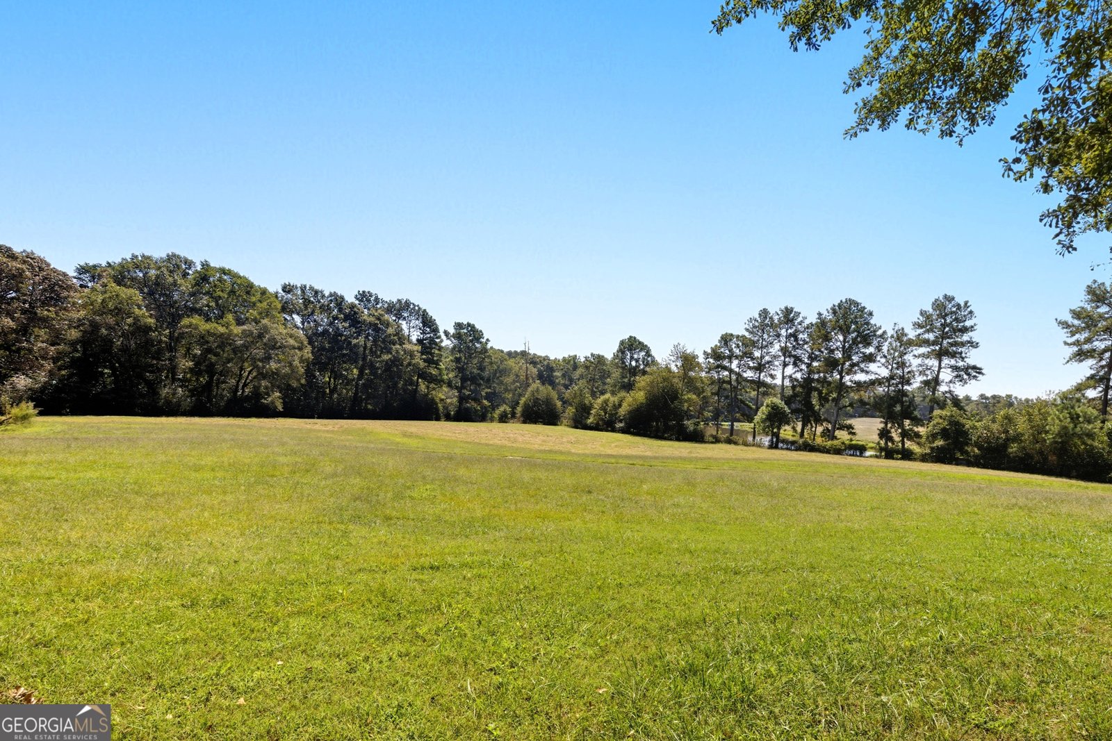 1320 Burroughs Road Lavonia - Photo 53