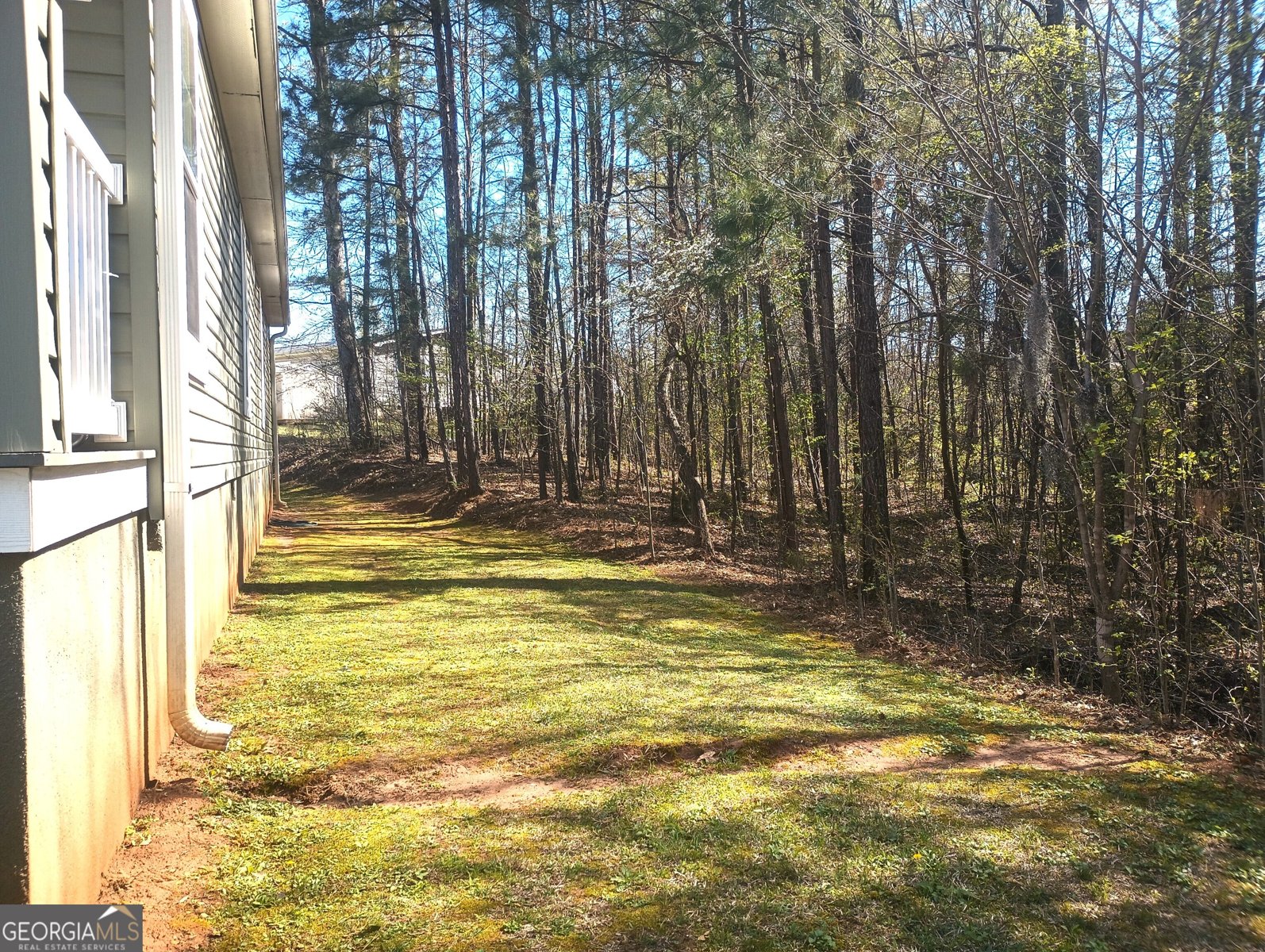 105 Bob White Lane Newnan - Photo 36