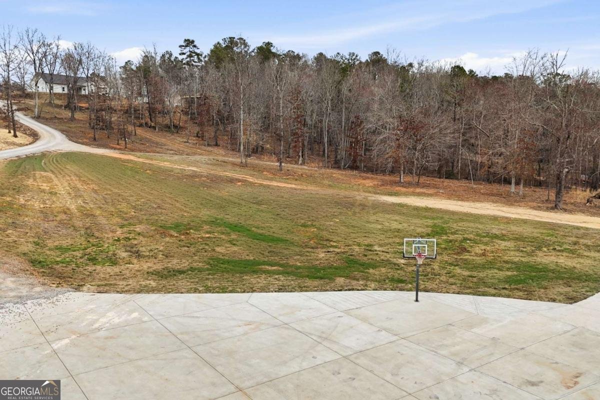 1100 Soap Creek Road Ball Ground - Photo 10