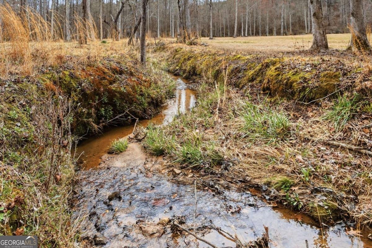 1100 Soap Creek Road Ball Ground - Photo 63