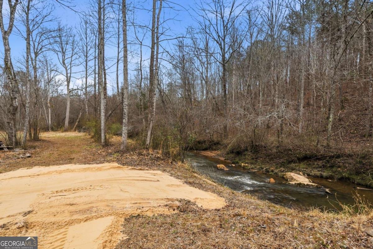 1100 Soap Creek Road Ball Ground - Photo 64