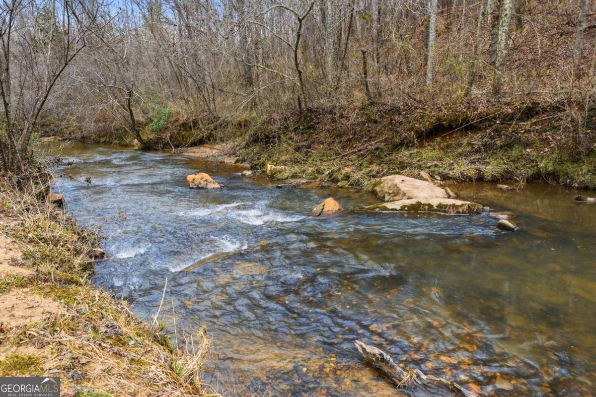 1100 Soap Creek Road Ball Ground - Photo 65