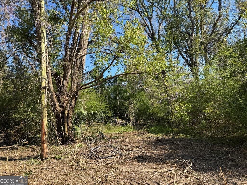 5076 Jacksonville Avenue Brunswick - Photo 10