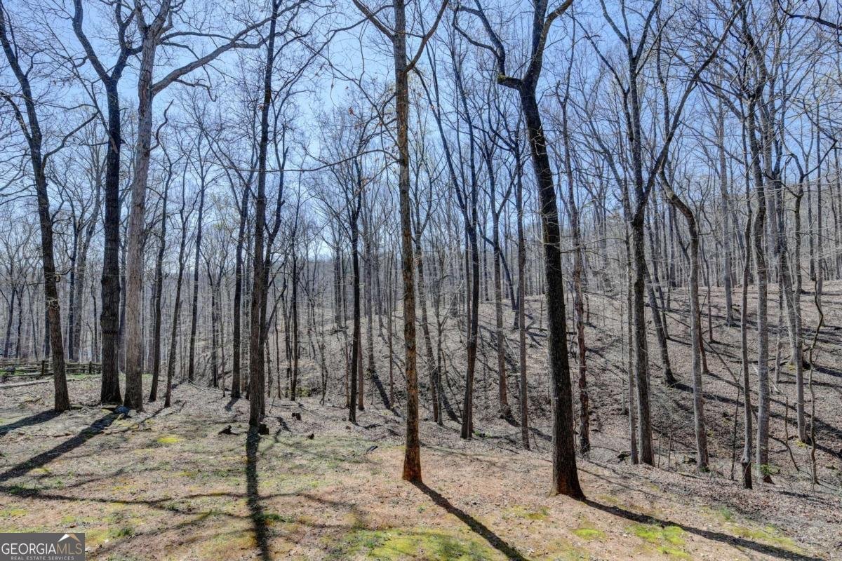 4930 River Drive Cumming - Photo 79