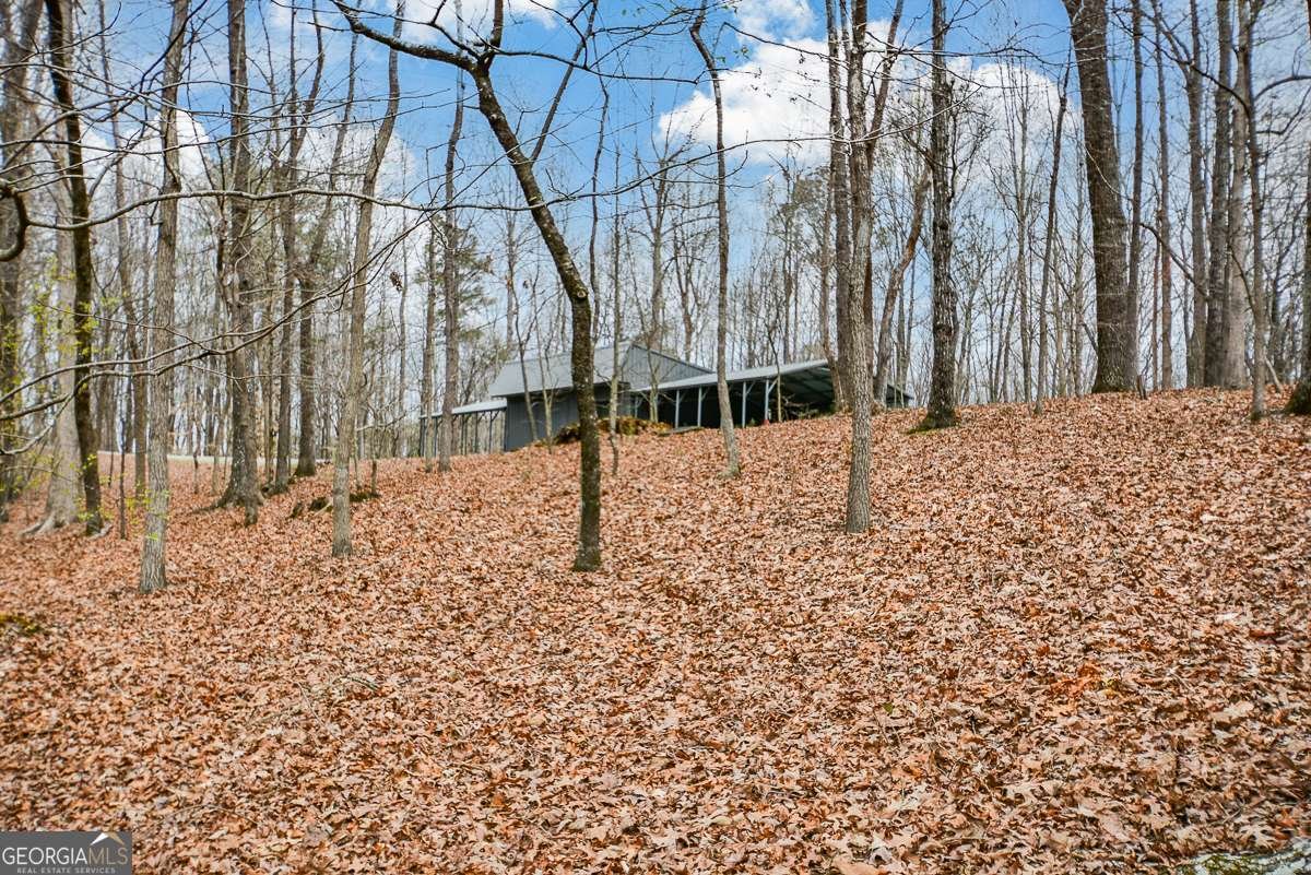 883 Tilley Road Talking Rock - Photo 102