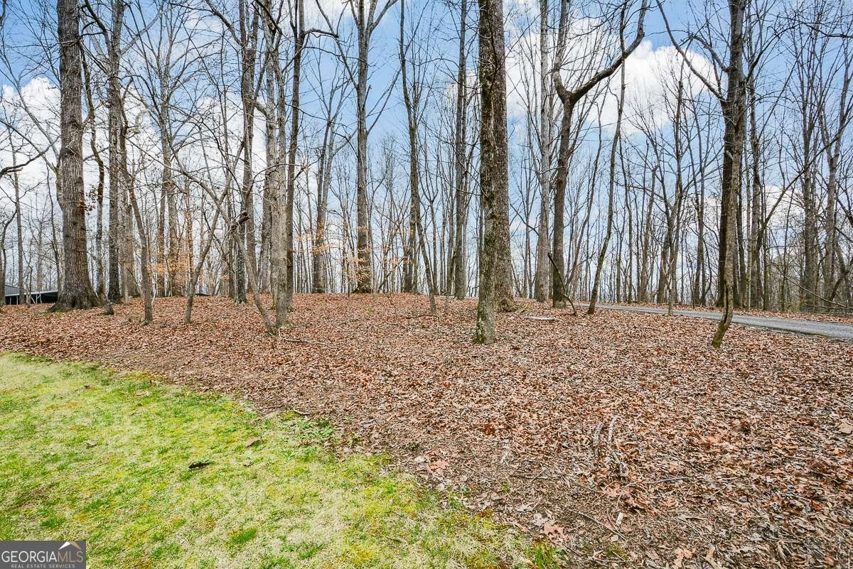 883 Tilley Road Talking Rock - Photo 65