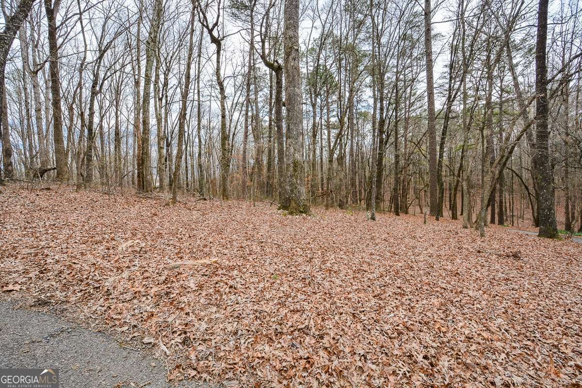 883 Tilley Road Talking Rock - Photo 69