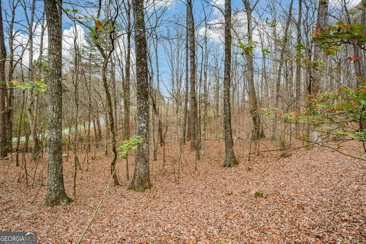 883 Tilley Road Talking Rock - Photo 72