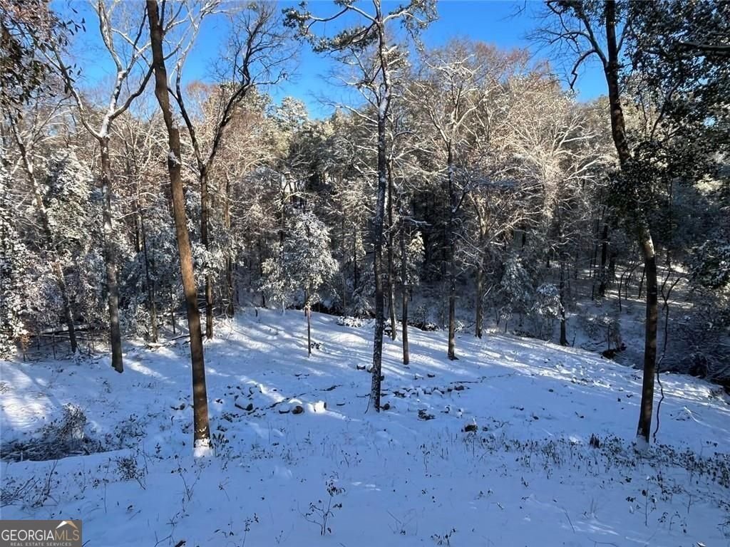 4046 Coosa Drive Bonaire - Photo 57