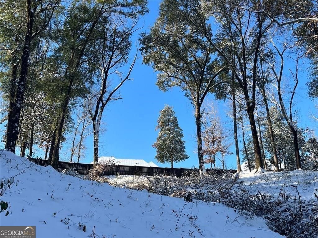 4046 Coosa Drive Bonaire - Photo 58