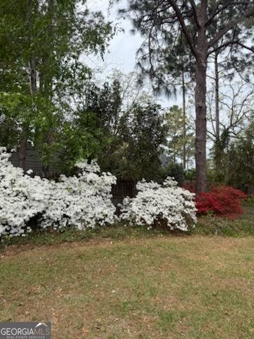 244 Surrey Lane Statesboro - Photo 34