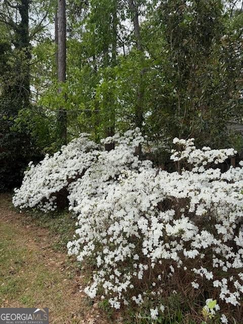 244 Surrey Lane Statesboro - Photo 35