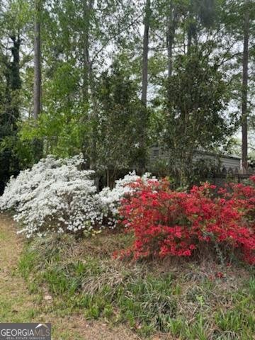 244 Surrey Lane Statesboro - Photo 36