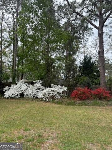 244 Surrey Lane Statesboro - Photo 37