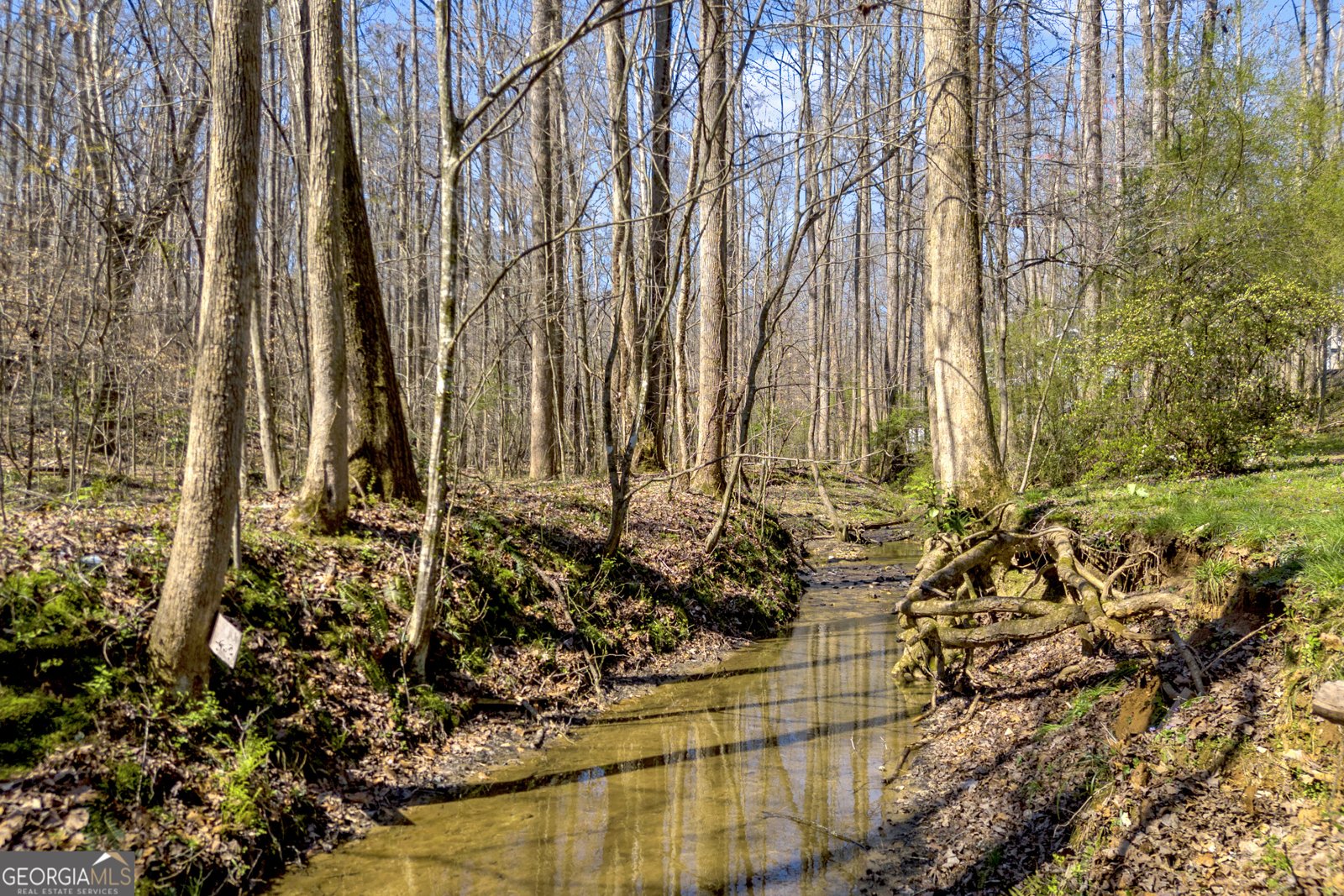 127 Mountainside Drive Dawsonville - Photo 42