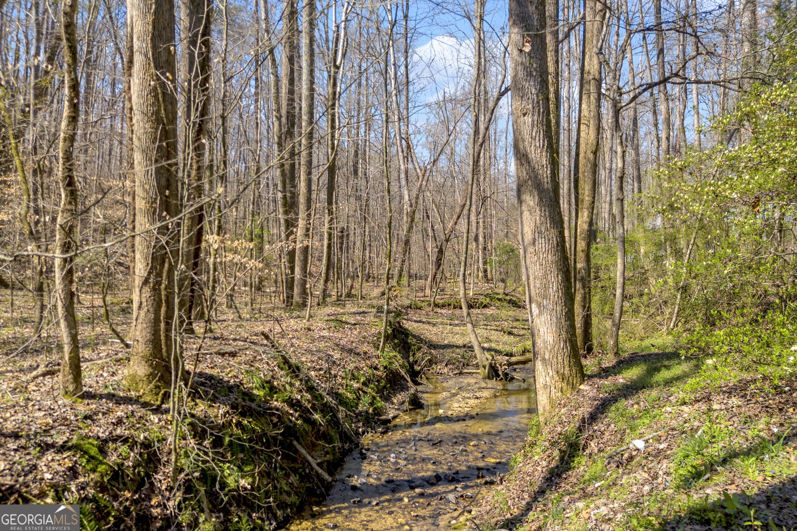 127 Mountainside Drive Dawsonville - Photo 43