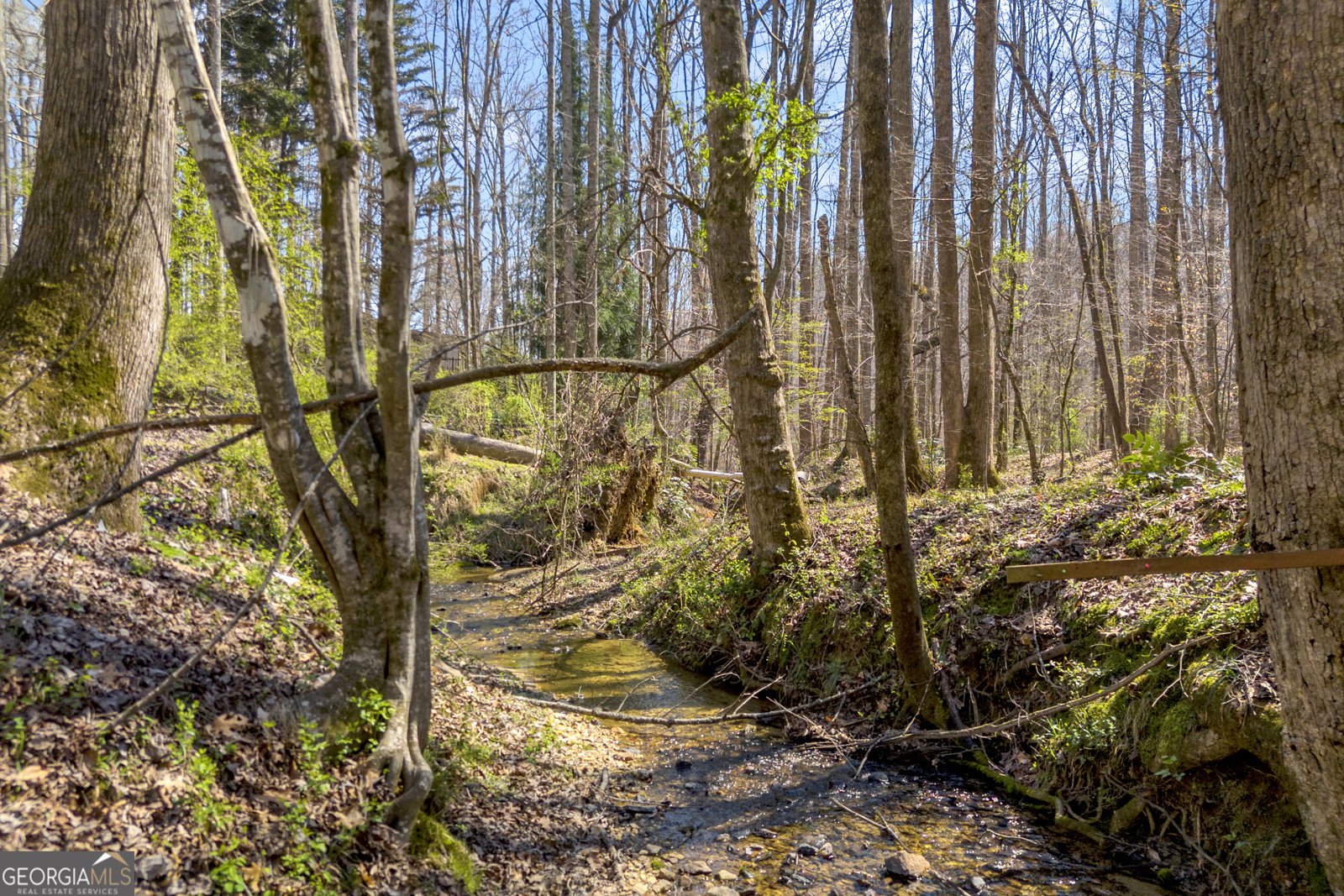 127 Mountainside Drive Dawsonville - Photo 44