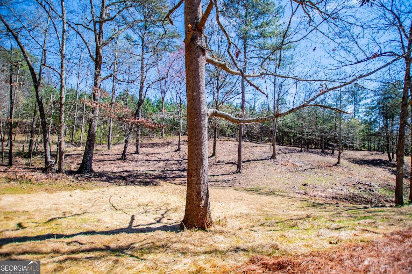 4221 Hwy 100 Waco - Photo 51