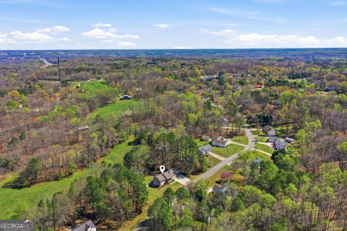 420 Stoneview Drive Hoschton - Photo 59