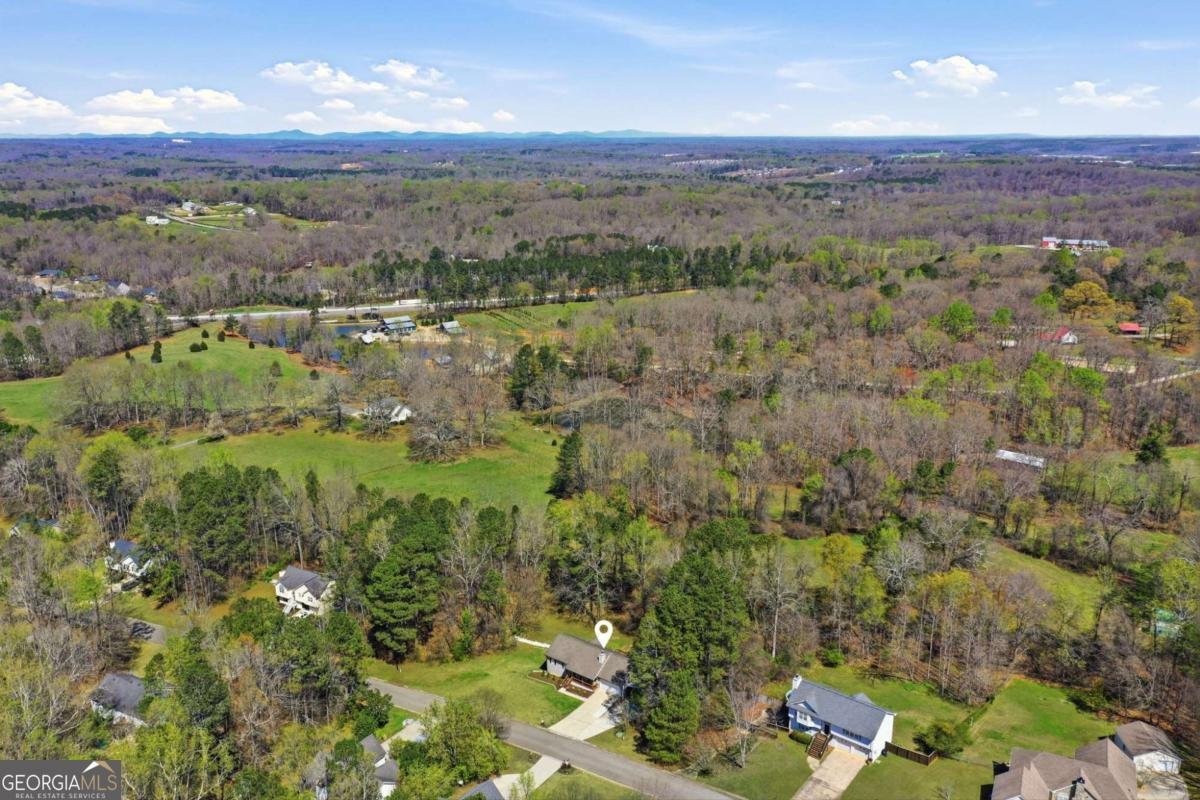 420 Stoneview Drive Hoschton - Photo 60