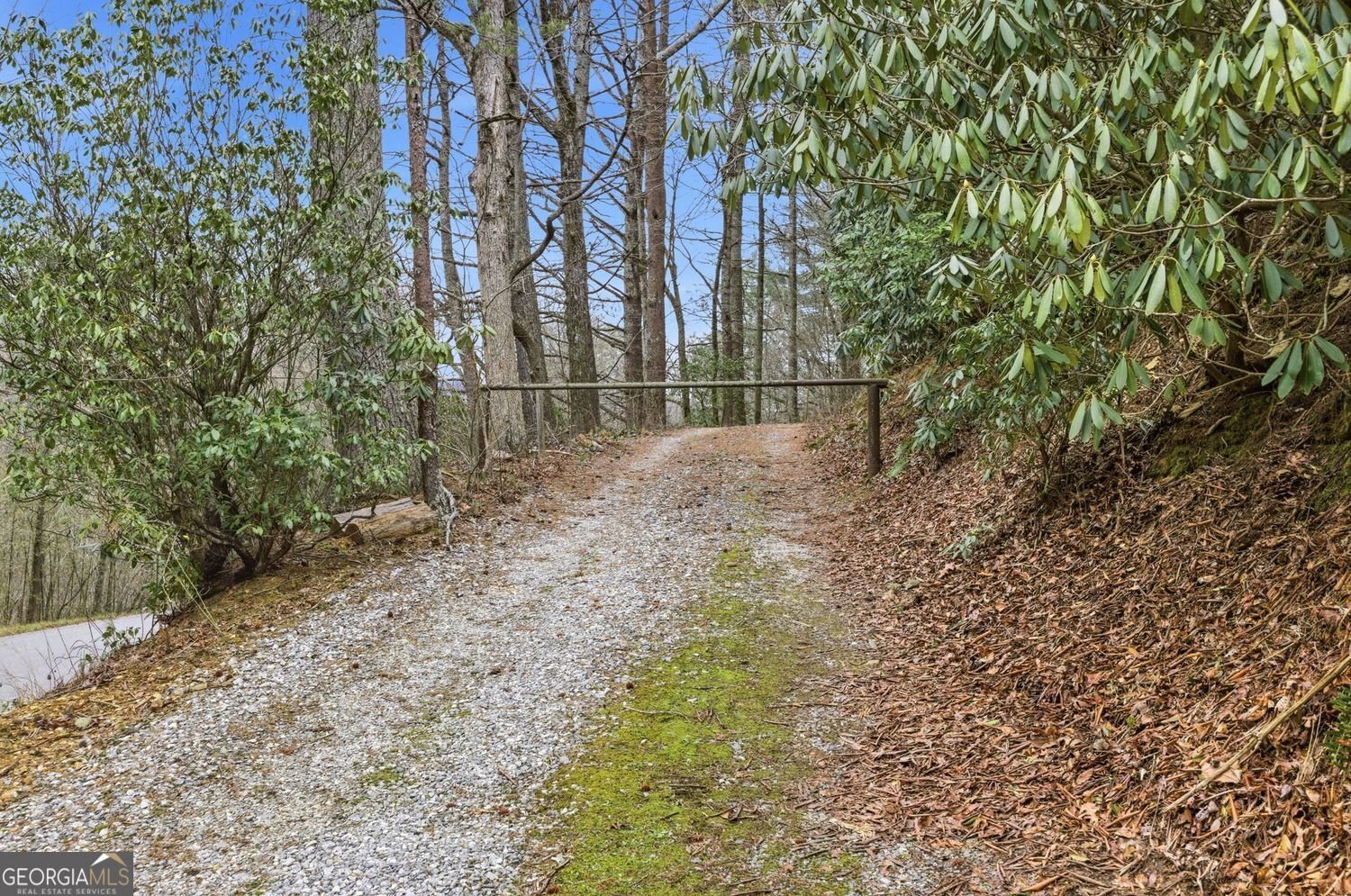 109 Clayton Gooch Road Dahlonega - Photo 30