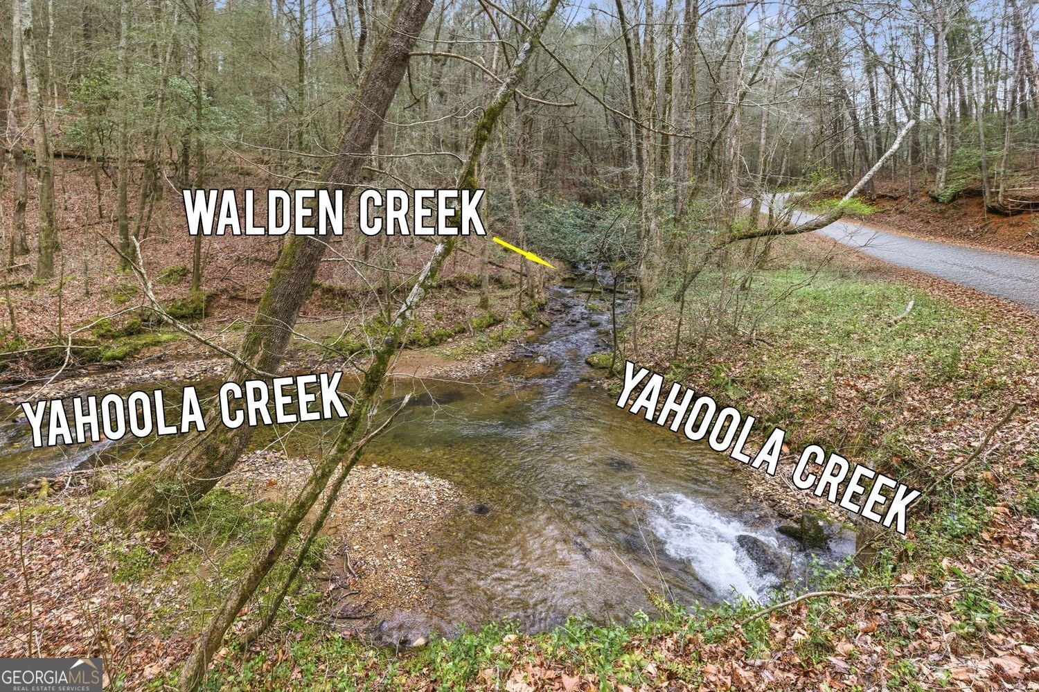 109 Clayton Gooch Road Dahlonega - Photo 31