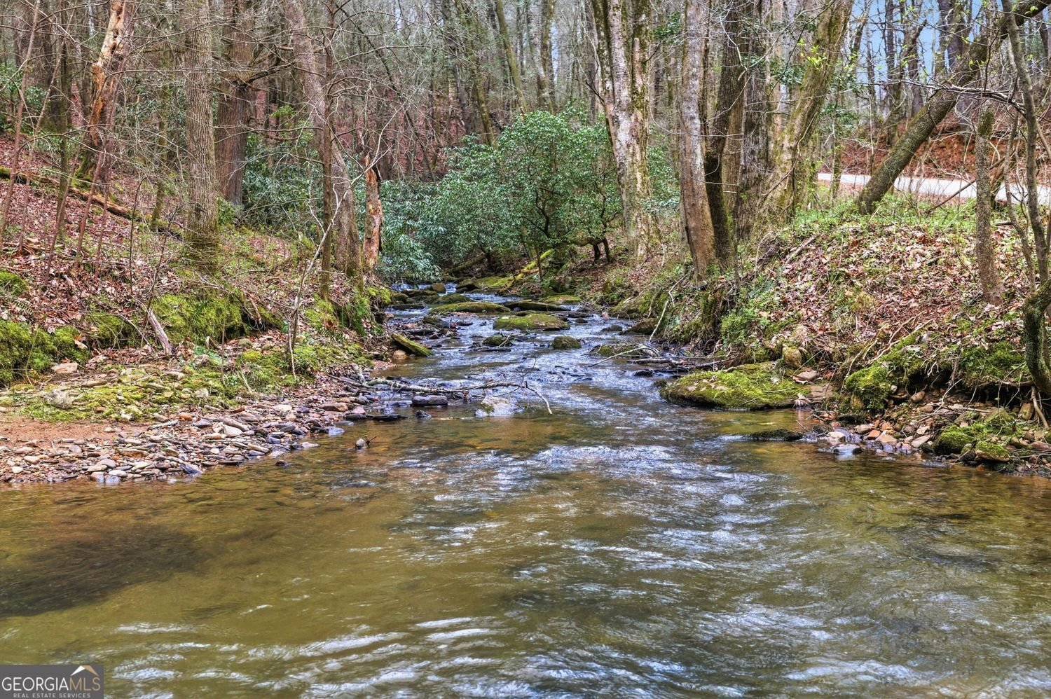109 Clayton Gooch Road Dahlonega - Photo 32