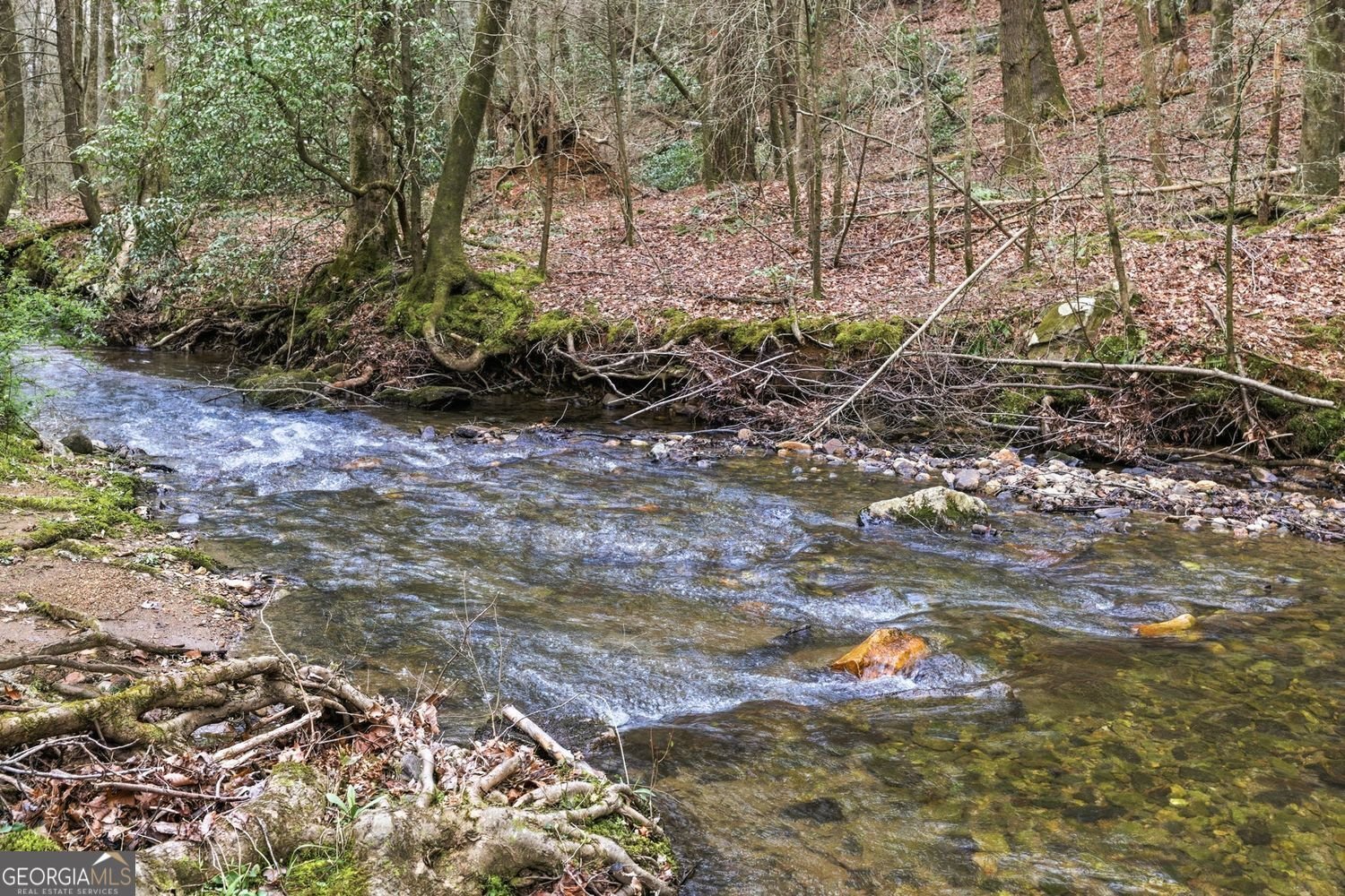 109 Clayton Gooch Road Dahlonega - Photo 33