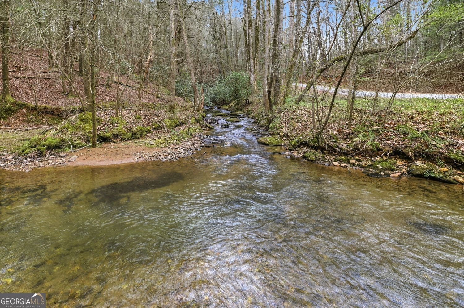 109 Clayton Gooch Road Dahlonega - Photo 34