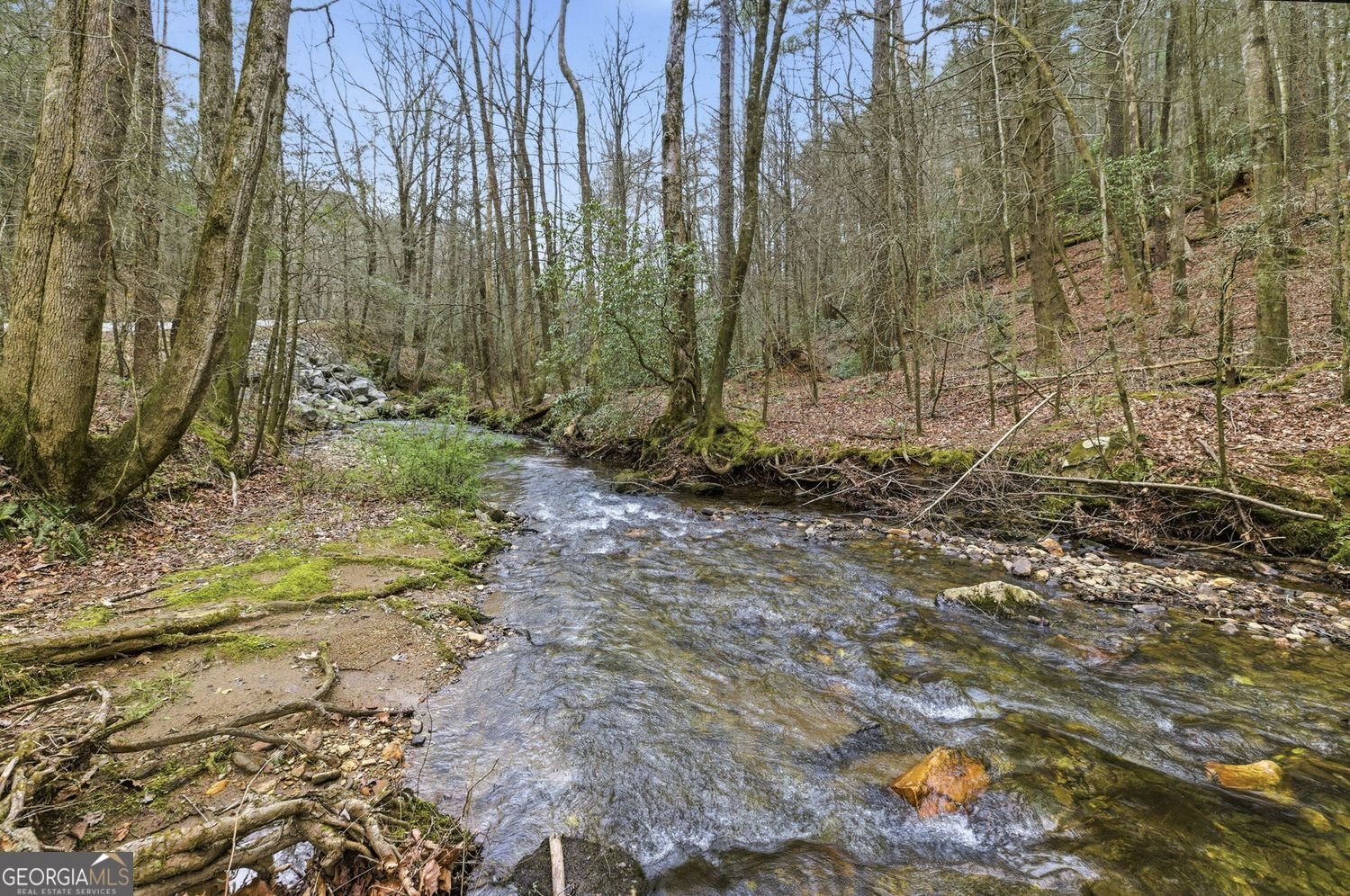 109 Clayton Gooch Road Dahlonega - Photo 35