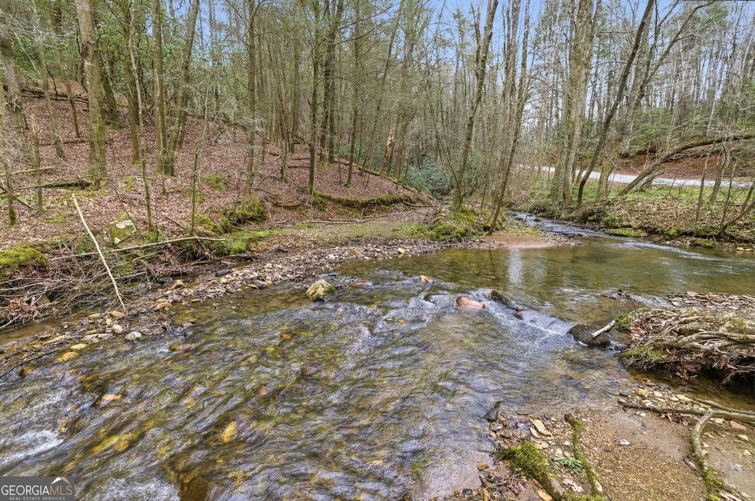 109 Clayton Gooch Road Dahlonega - Photo 37