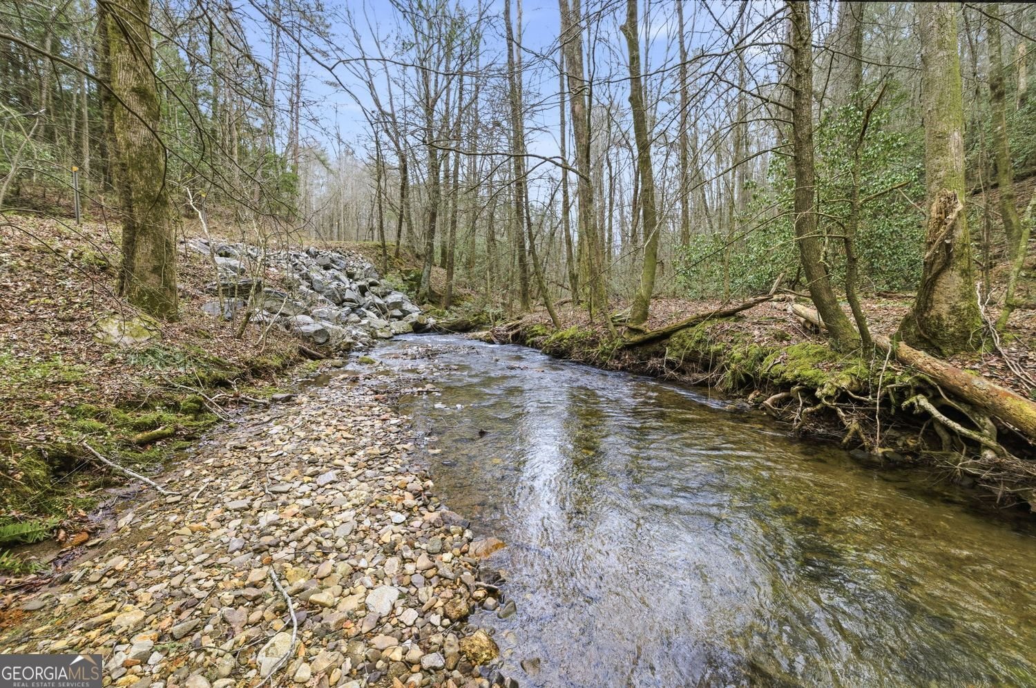 109 Clayton Gooch Road Dahlonega - Photo 38