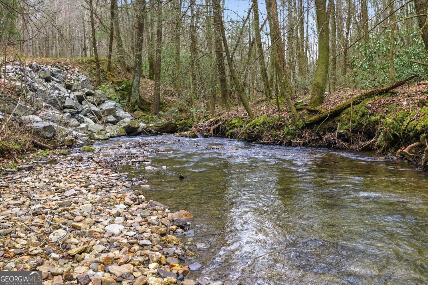 109 Clayton Gooch Road Dahlonega - Photo 39